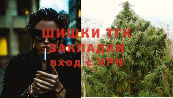 винт Медвежьегорск