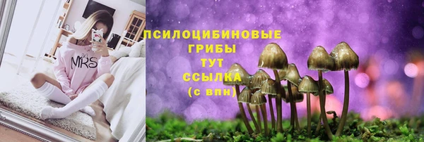 спиды Медногорск