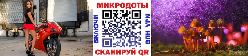 Псилоцибиновые грибы Cubensis  Чернушка 