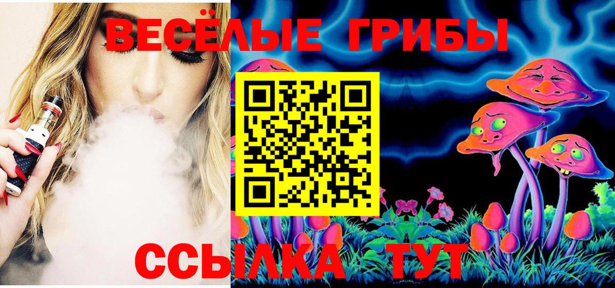 Чернушка  Псилоцибиновые грибы MAGIC MUSHROOMS  Вход с VPN  Галлюциногенные грибы MAGIC MUSHROOMS 