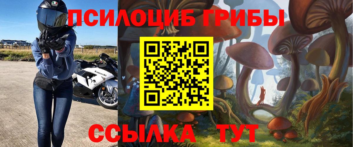 Чернушка  Галлюциногенные грибы мицелий  Вход с VPN 